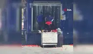 Kasa kasa domatesi neden çöpe döktüler?