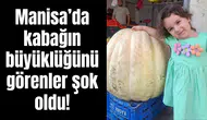 Çocuk büyüklüğündeki kabak görenleri şok etti!