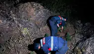 Manisa'da jandarmadan Hint keneviri avı