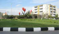 Lale Meydanı'nın adı değişti