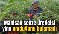 Manisalı sebze üreticisi yine umduğunu bulamadı