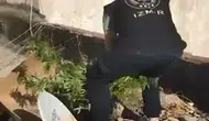 Tarihi mekanda uyuşturucu operasyonu