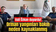 Vali Özkan: Orman yangınlarının çoğu insan kaynaklı