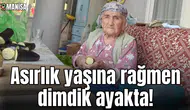 Asırlık yaşına rağmen dimdik ayakta!