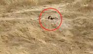 Uygunsuz hareketler sergileyen iki genç gözaltına alındı