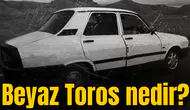 Beyaz Toros nedir?