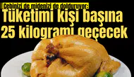 Cebinizi de midenizi de dolduruyor: Tüketimi kişi başına 25 kilogramı geçecek