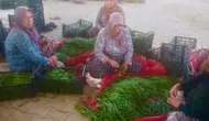 Su sorunu çiftçileri alternatif ürüne yöneltti