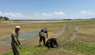 Manisa'da insanlık ölmemiş dedirten olay...