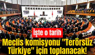 Meclis komisyonu "Terörsüz Türkiye" için toplanacak! İşte o tarih
