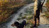 Bu sene Türkiye'de avlanmak yasak!