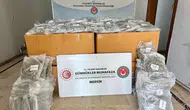 Limanda uyuşturucu operasyonu