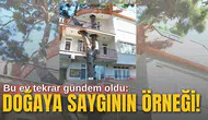 Doğaya saygının örneği