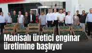 Manisalı üretici enginar üretimine başlıyor