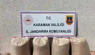 Jandarma suçlulara geçit vermedi: 8 kişi tutuklandı
