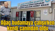 Ağaç budamaya çalışırken kendi canından oldu