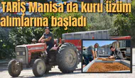TARİŞ Manisa’da kuru üzüm alımlarına başladı