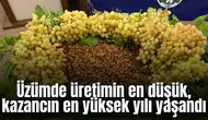 Üzümde üretimin en düşük, kazancın en yüksek yılı yaşandı