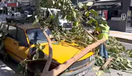 Park halindeki aracın üstüne ağaç düştü