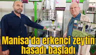 Manisa'da erkenci zeytin hasadı başladı