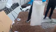 Fındık çuvalından çıkanlar şok etti