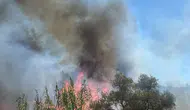 Sazlık alanda çıkan yangın paniğe yol açtı