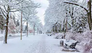 Meteoroloji uzmanı il il açıkladı! Kar yağışı geliyor