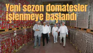 Yeni sezon domatesler işlenmeye başlandı