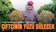 Üzüm fiyatlarındaki düşüşe TMO çözümü