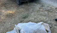 Manisa’da çam fıstığı hırsızlığı