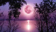 Pembe Ay ne zaman, saat kaçta görülecek? 2026 dolunay heyecanı başladı