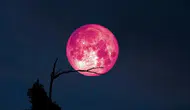 Gökyüzü tutkunları bu tarihi bekliyor: 2026 Pembe Dolunay ne zaman, nasıl izlenir?