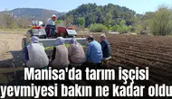 Manisa'da tarım işçisi yevmiyesi bakın ne kadar oldu