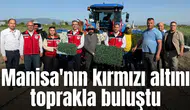 Manisa'nın kırmızı altını toprakla buluştu