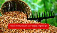 Fındık fiyatlarında sert düşüş yaşanıyor