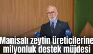 Manisalı zeytin üreticilerine milyonluk destek müjdesi
