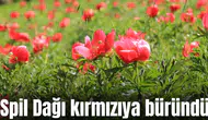 Spil Dağı kırmızıya büründü