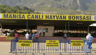 Canlı Hayvan Borsası Kurbanlık Pazarı açıldı