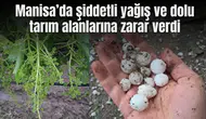 Manisa’da şiddetli yağış ve dolu tarım alanlarına zarar verdi