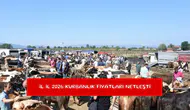 İl il 2026 kurbanlık fiyatları netleşti
