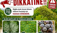 Üzüm üreticilerine ilaçlama uyarısı