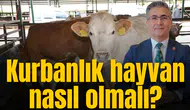 Manisa Veteriner Hekimleri Odası’ndan kurbanlık hayvan uyarısı