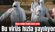 Dünya Sağlık Örgütü alarm verdi: Bu virüs hızla Dünya'ya yayılıyor