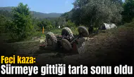 Feci kaza: Sürmeye gittiği tarla sonu oldu