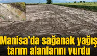 Manisa'da tarım alanları zarar gördü