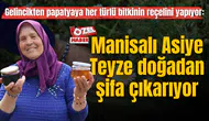 Gelincikten papatyaya her türlü bitkinin reçelini yapıyor: Manisalı Asiye Teyze doğadan şifa çıkarıyor