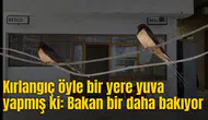 Kırlangıç öyle bir yere yuva yapmış ki: Bakan bir daha bakıyor