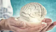 Alzheimer Riskine Karşı Dikkat Çeken Besin: Düzenli Tüketimi Hafızayı Destekleyor!