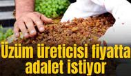 Üzüm üreticisi fiyatta adalet istiyor