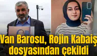 Van Barosu, Rojin Kabaiş dosyasından çekildi